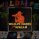 Wildlife Diaries Africa